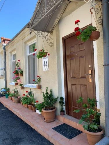 a front door of a house with potted plants at Cherqe Guest House in Sighnaghi