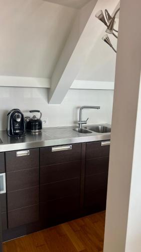 Η κουζίνα ή μικρή κουζίνα στο Apartmán se saunou a terasou s výhledem na Brno