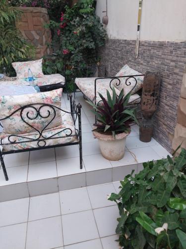 a pair of benches on a patio with plants at Chez Ousmane Fall ASECNA in Saint-Louis