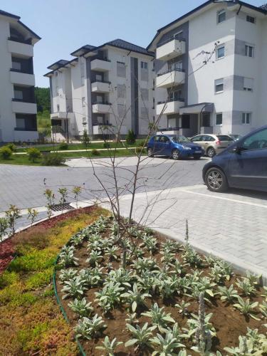 a flower bed in a parking lot with buildings at Apartman s parkingom, blizu Akva parka, Natura Lux - Green Hill, Sokobanja in Soko Banja