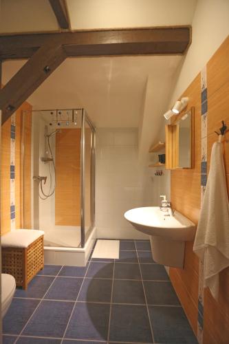 a bathroom with a sink and a shower at Chata Ale Lipa - Góry Sowie in Jugów