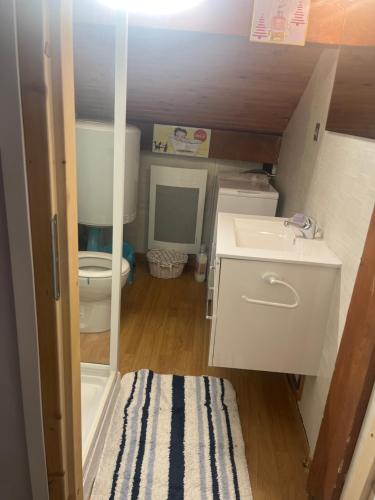 une petite salle de bain avec toilettes et lavabo dans l'établissement studio des perce neige, à Barcelonnette