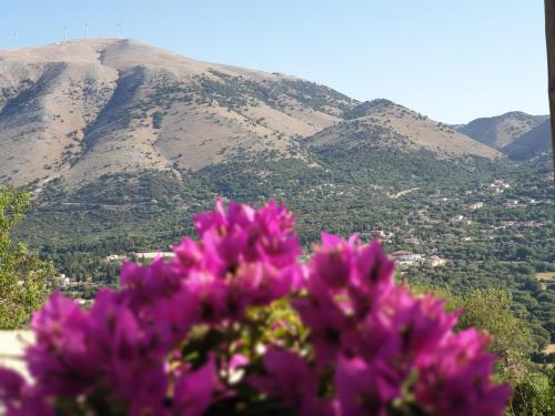 a bunch of purple flowers in front of a mountain at TheYellow House II Fully Equipped 2BR apartment in Pilaroú