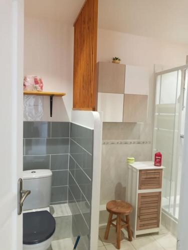 - une petite salle de bains avec toilettes et tabouret dans l'établissement Gîte Le Défends, à Flayosc