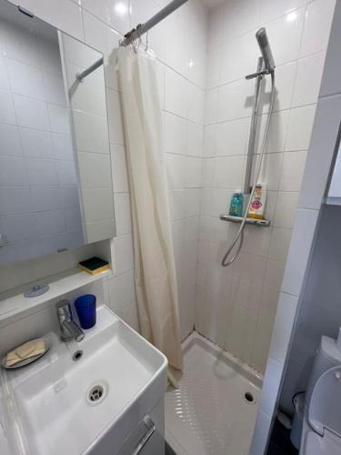 une salle de bain blanche avec une douche et un lavabo dans l'établissement Votre pied-à-terre en plein Paris, à Paris