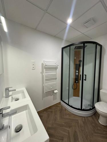 une salle de bain avec une douche en verre et des toilettes dans l'établissement Studio à Baldaquin du Cloitre, à Narbonne