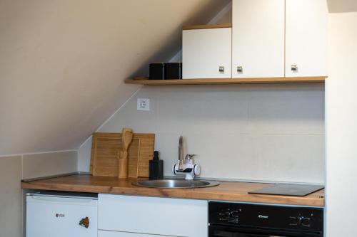 Dapur atau dapur kecil di Apartman Drašković Zlatibor