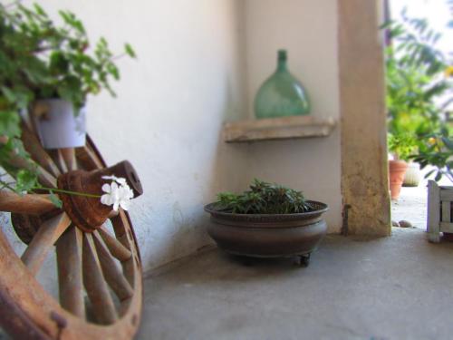 Κήπος έξω από το Residenza Torre Antica
