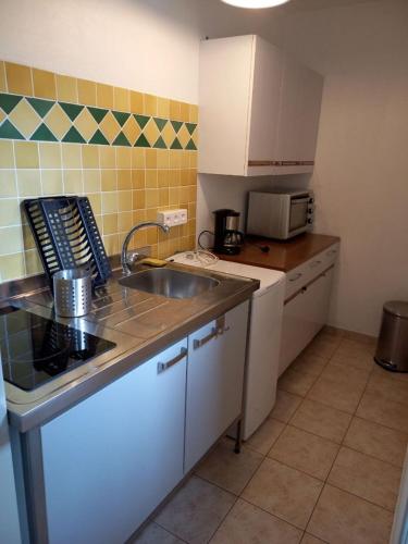 une petite cuisine avec un évier et un micro-ondes dans l'établissement Appartement 30m2 proche gorge du verdon et cure thermale de Gréoux, à Gréoux-les-Bains