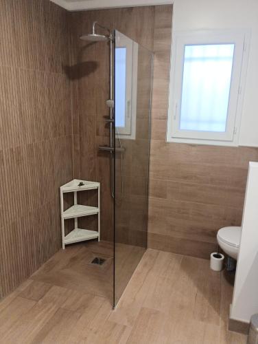 une salle de bain avec douche et toilettes dans l'établissement Richard, à Lodève