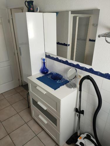 une salle de bain avec un lavabo et un miroir dans l'établissement Petit nid d amour, à Argelès-sur-Mer