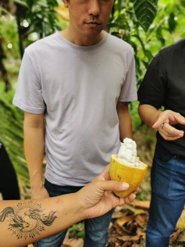 a man is holding an ice cream cone at HatYai -Les Cat Cocoa Farmstay in Ban Tha Mo Chai
