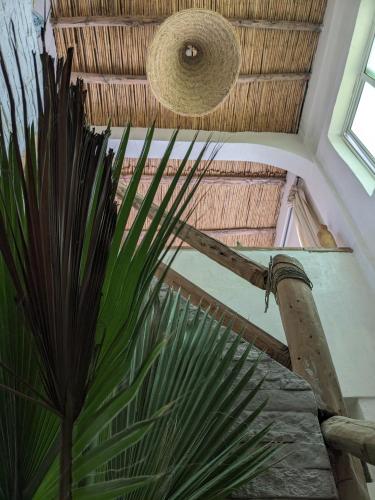 a ceiling with a fan and a palm plant at Moroccan Boho Surf House in Agadir