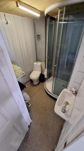 a bathroom with a toilet and a shower and a sink at Apartments Londa in Jūrmala