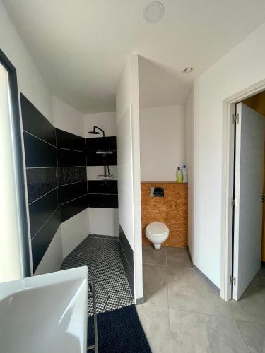 une salle de bain avec toilettes et lavabo dans l'établissement Bessan 2 Ch 5 personnes wifi parking calme, à Bessan