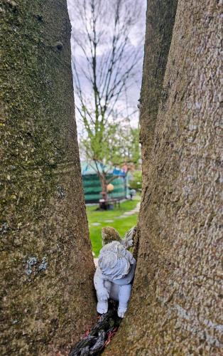 a stuffed animal is stuck in a tree at Het binnenerf yurt en keetjes in Nieuwleusen