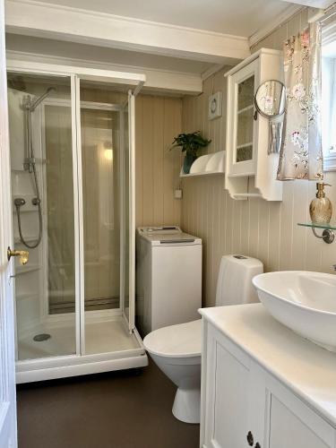 a bathroom with a shower and a toilet and a sink at Veslegarden in Lærdalsøyri