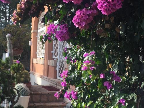 a bunch of purple flowers hanging from a building at Villa Silvio in Civitanova Alta