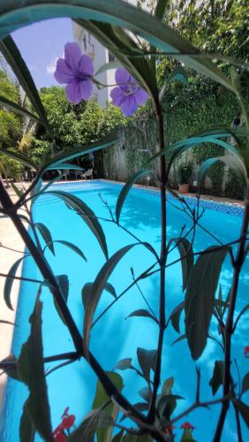 Gallery image of Green Oasis Hotel in La Romana