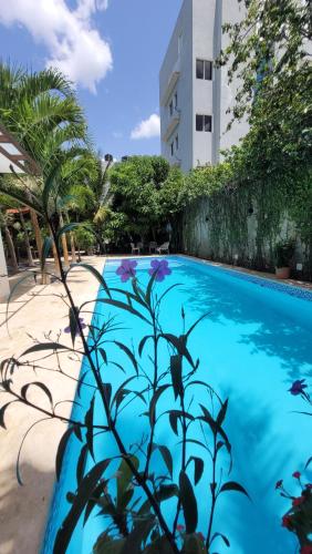 Gallery image of Green Oasis Hotel in La Romana