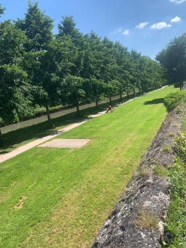 un champ herbeux avec des arbres dans un parc dans l'établissement Kecyhouse chambre PROMESSE de l'Aube, à Sevran