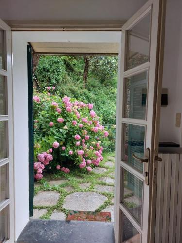 Zahrada ubytování Pupetta Garden