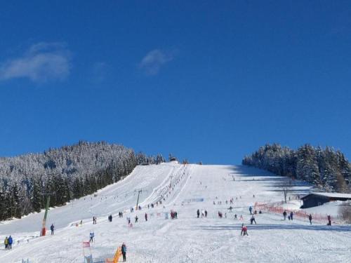 a group of people skiing down a snow covered slope at Apartment Simonhöhe in Zirkitz