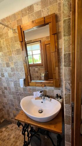 a bathroom with a sink and a mirror at Casa Adrian in Cluj-Napoca