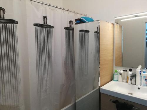 une salle de bain avec douche et lavabo dans l'établissement Appartement vintage, à Pontoise