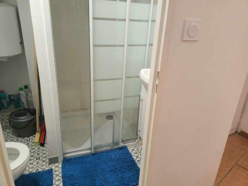 La salle de bains est pourvue d'une douche, de toilettes et d'un tapis bleu. dans l'établissement Mer, à Avignon
