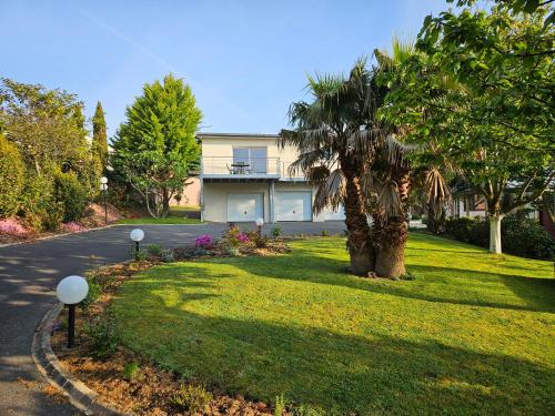 a house with a palm tree and a driveway at A l'escale fleurie in Guipavas