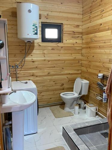 a bathroom with a toilet and a sink at Beach HOUSE in Cholpon-Ata