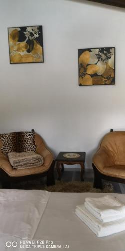 a living room with two chairs and a bed at Simply zen in Colibiţa