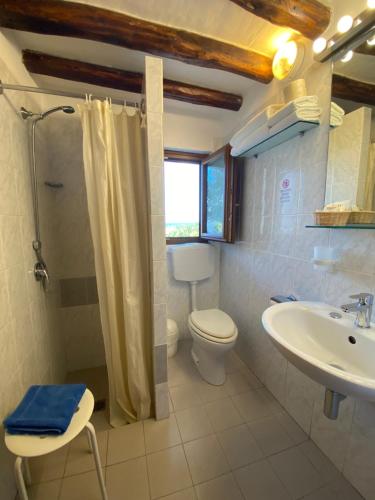 a bathroom with a toilet and a sink and a shower at Pensione La Nassa in Stromboli
