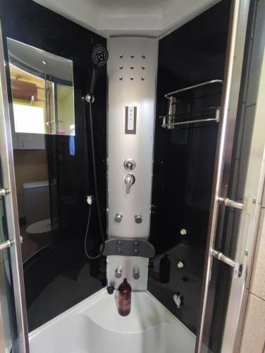 a bathroom with a shower and a toilet in it at Apartamenty Pod Wiaduktem in Ober Wüstegiersdorf