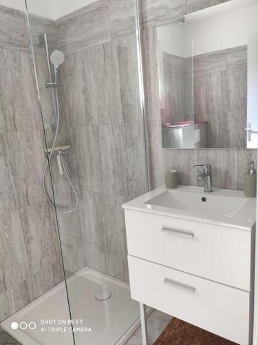 une salle de bain avec une douche et un lavabo et une douche dans l'établissement Nature, détente et calme au pied du Vercors, à Beauregard-Baret