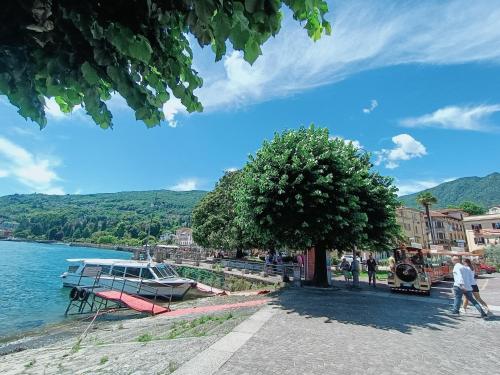 Un barco estacionado junto a un árbol al lado del agua. en Apartment Jessy, en Baveno
