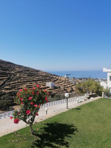 Φωτογραφία από το άλμπουμ του Ενοικιαζόμενα Διαμερίσματα Μυρτιά στα Κιόνια