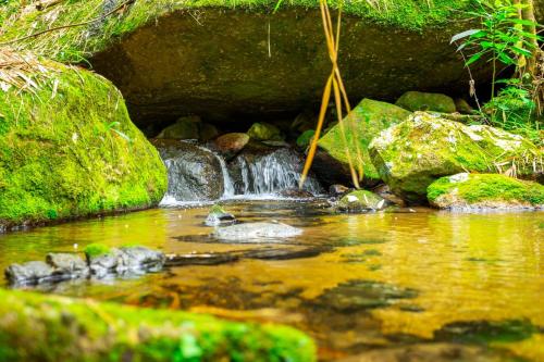 a stream of water with rocks and a waterfall at Casa Natu Ilhabela Portinho in Ilhabela