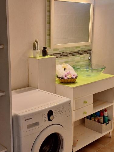 a laundry room with a washing machine and a sink at Jasmyna in Sans Pareil