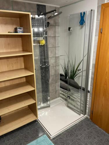 a shower with a glass door in a bathroom at Unterkunft LUSCHIN in Spielberg