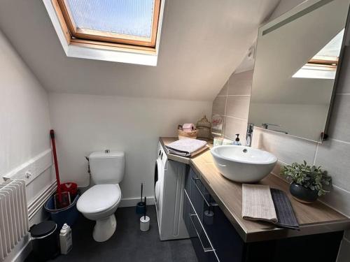 a bathroom with a sink and a toilet at La Loge et La Pause Compiègnoise in Compiègne