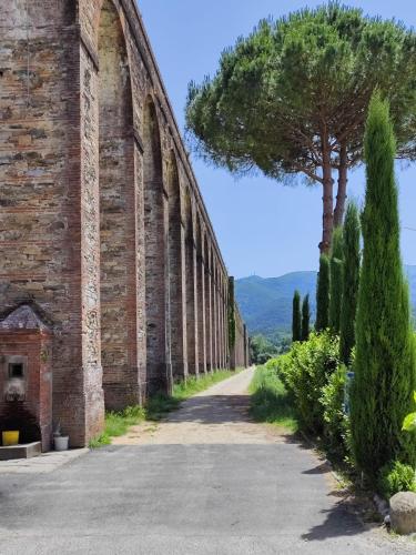 an old brick wall with a tree on the side of a road at B&B Toringo in Capannori