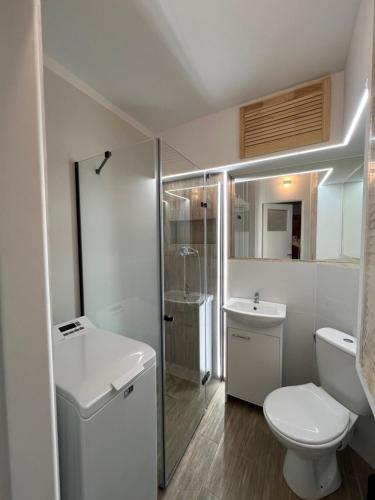 Koupelna v ubytování Apartament u Groszków