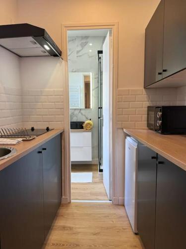 une cuisine avec un évier et un plan de travail dans l'établissement Le Gallilée - Studio Climatisé Calme Centre-Ville, à Toulouse