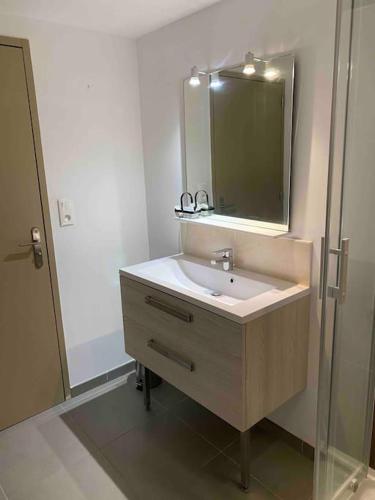 Ένα μπάνιο στο L'appartement des tortues