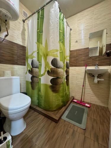 a bathroom with a toilet and a shower curtain at apartamienty "Pozitiv" in Karolino-Buhaz
