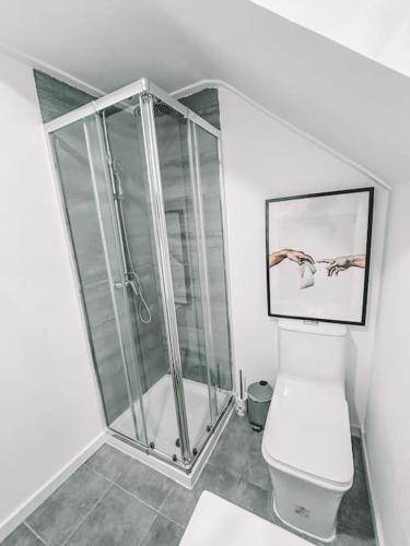 a white bathroom with a shower and a toilet at CerezinoFlats- Blue Bay Studio in Seixal