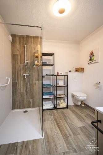 une salle de bain avec douche et toilettes dans l'établissement La Capucine, centre historique d'Obernai, à Obernai
