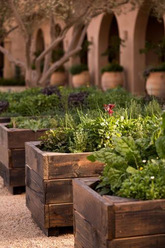 three wooden boxes filled with plants in a garden at Allegretto Vineyard Resort Paso Robles in Paso Robles